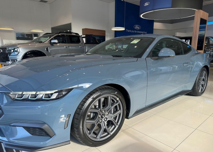 FORD 
                                                            for Sale for Sale